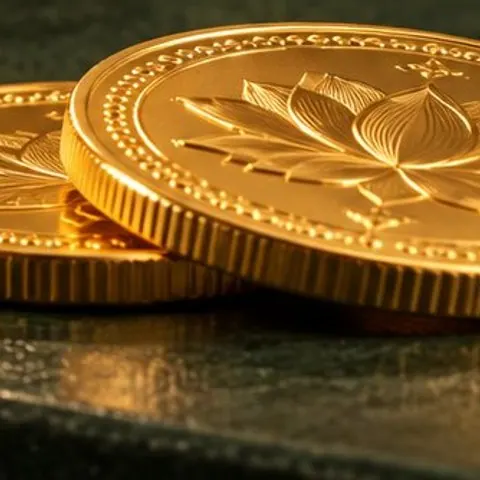 2 gram 24 Karat Gold Coin
